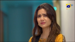 Bayhadh - Episode 37 - 29th August 2024